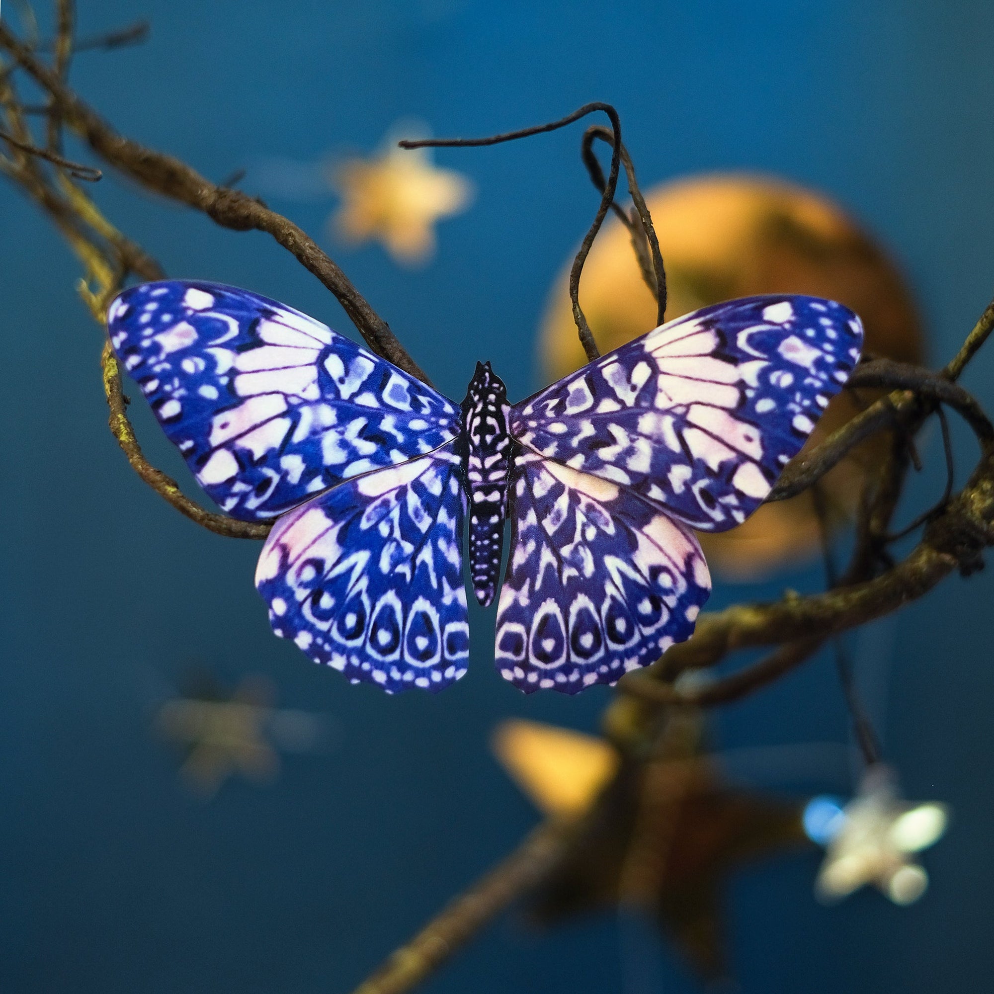 'Celestial' Butterfly Set Reseller Wholesale