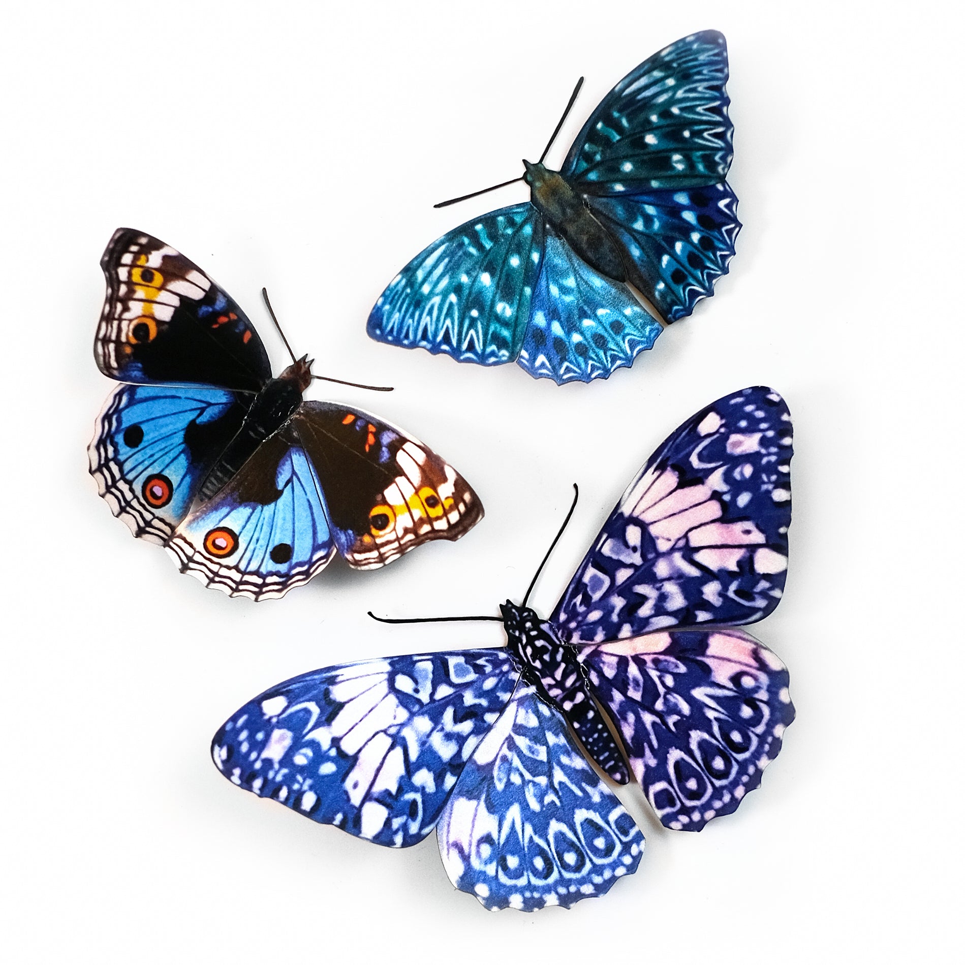 Celestial' Paper Butterfly 3-Pack Set - Moth & Myth