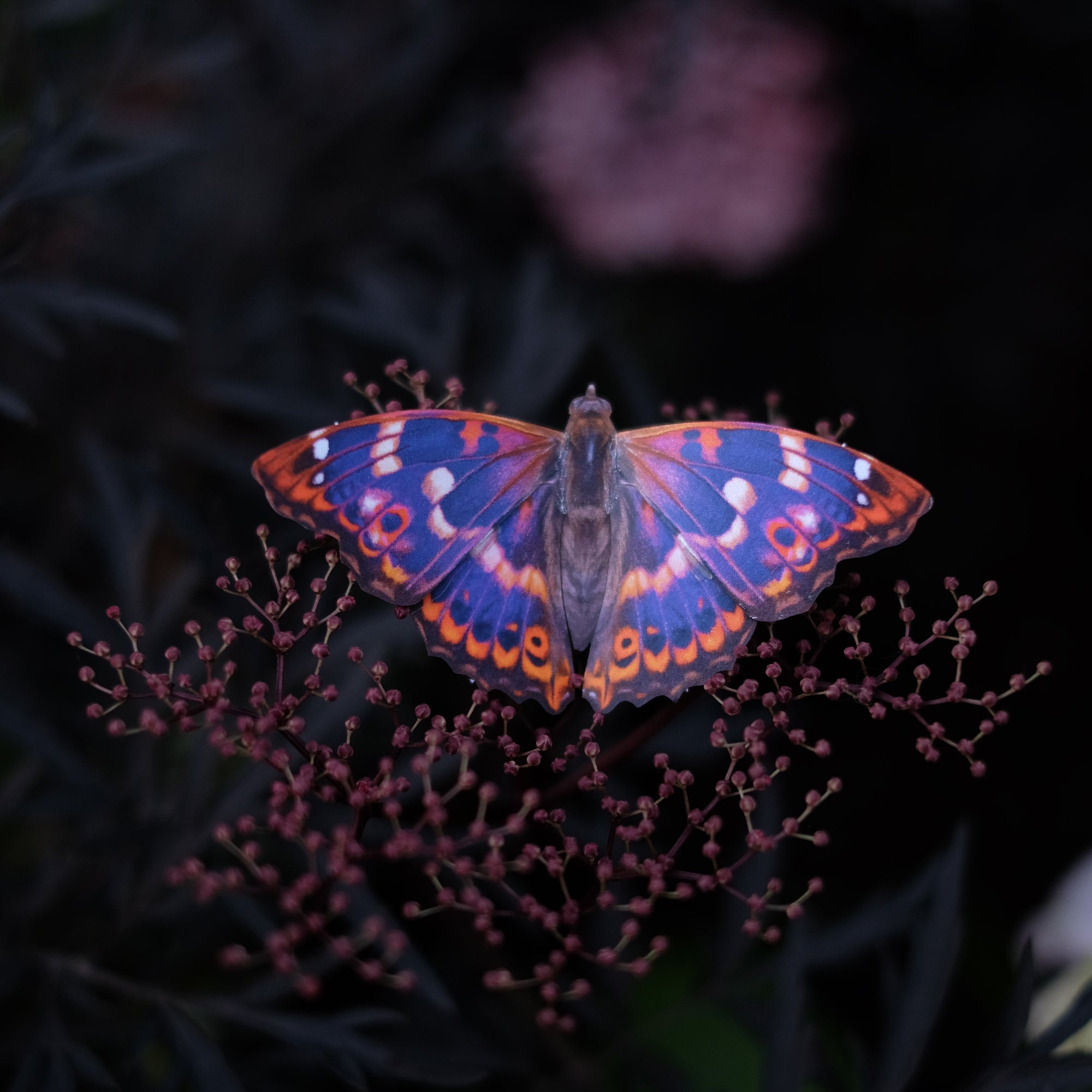 'Quartz' Butterfly Set Artist Wholesale