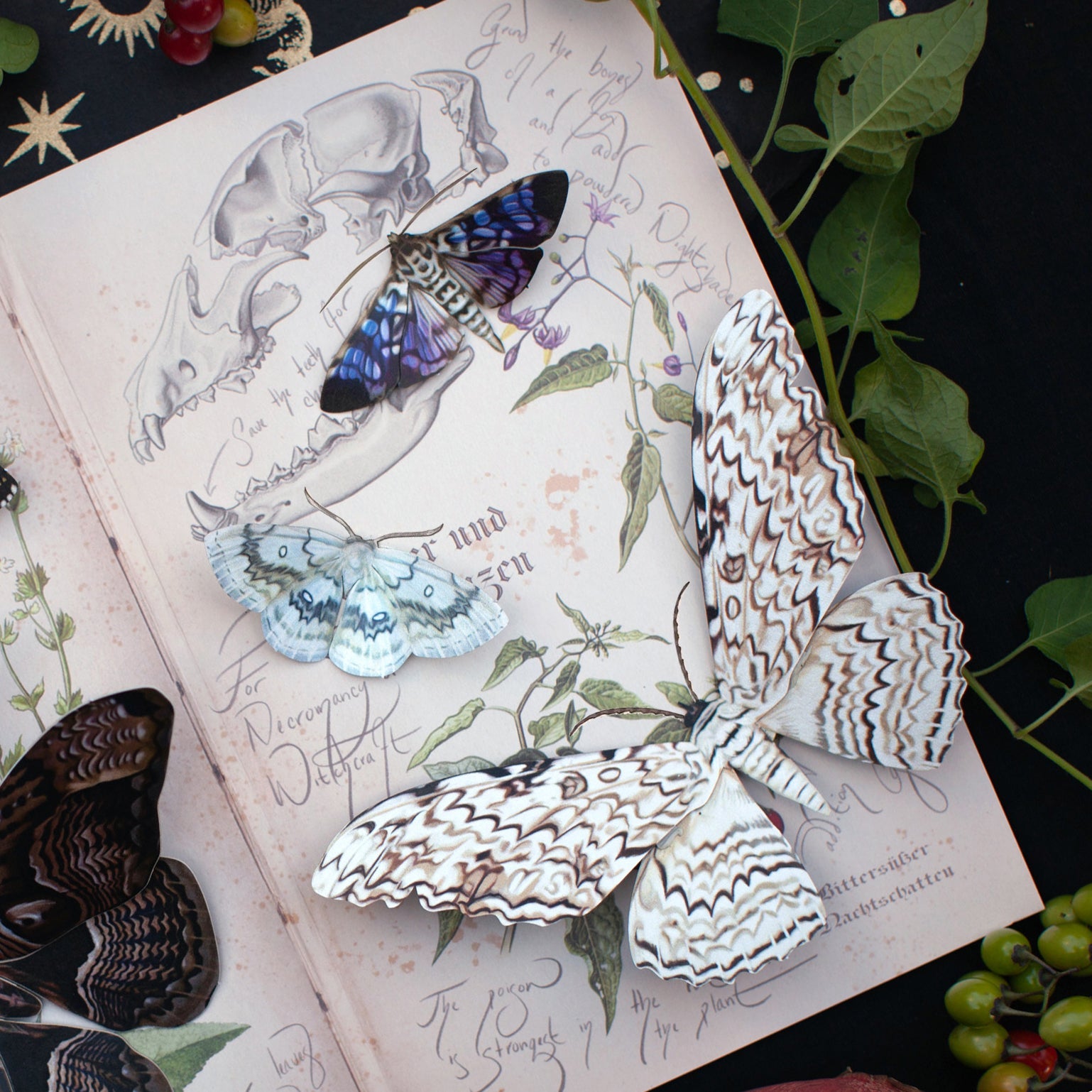 💫Halloween Collection💫 'Witch' Moth Set (Datura)