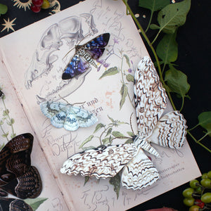 💫Halloween Collection💫 'Witch' Moth Set (Datura)