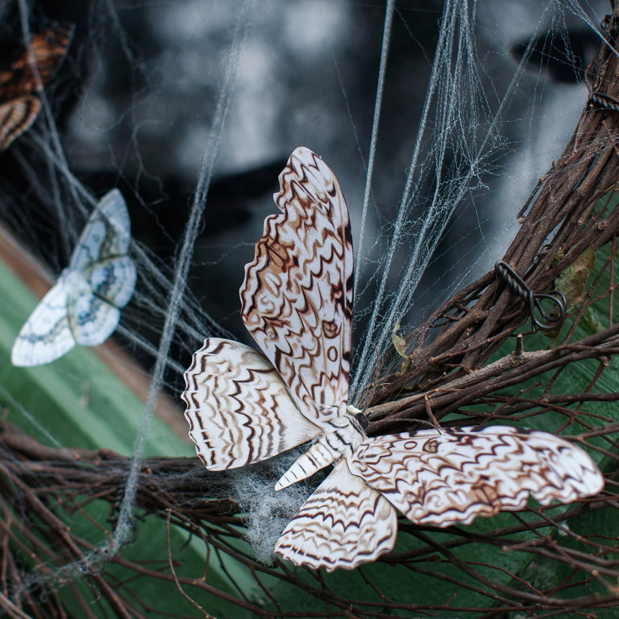 💫Halloween Collection💫 'Witch' Moth Set (Datura)