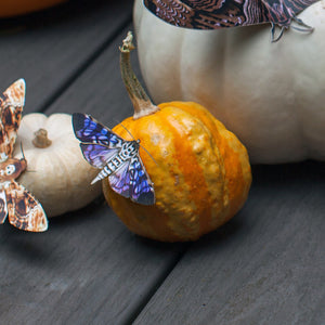 Halloween 'Witch' Moth Set Reseller Wholesale