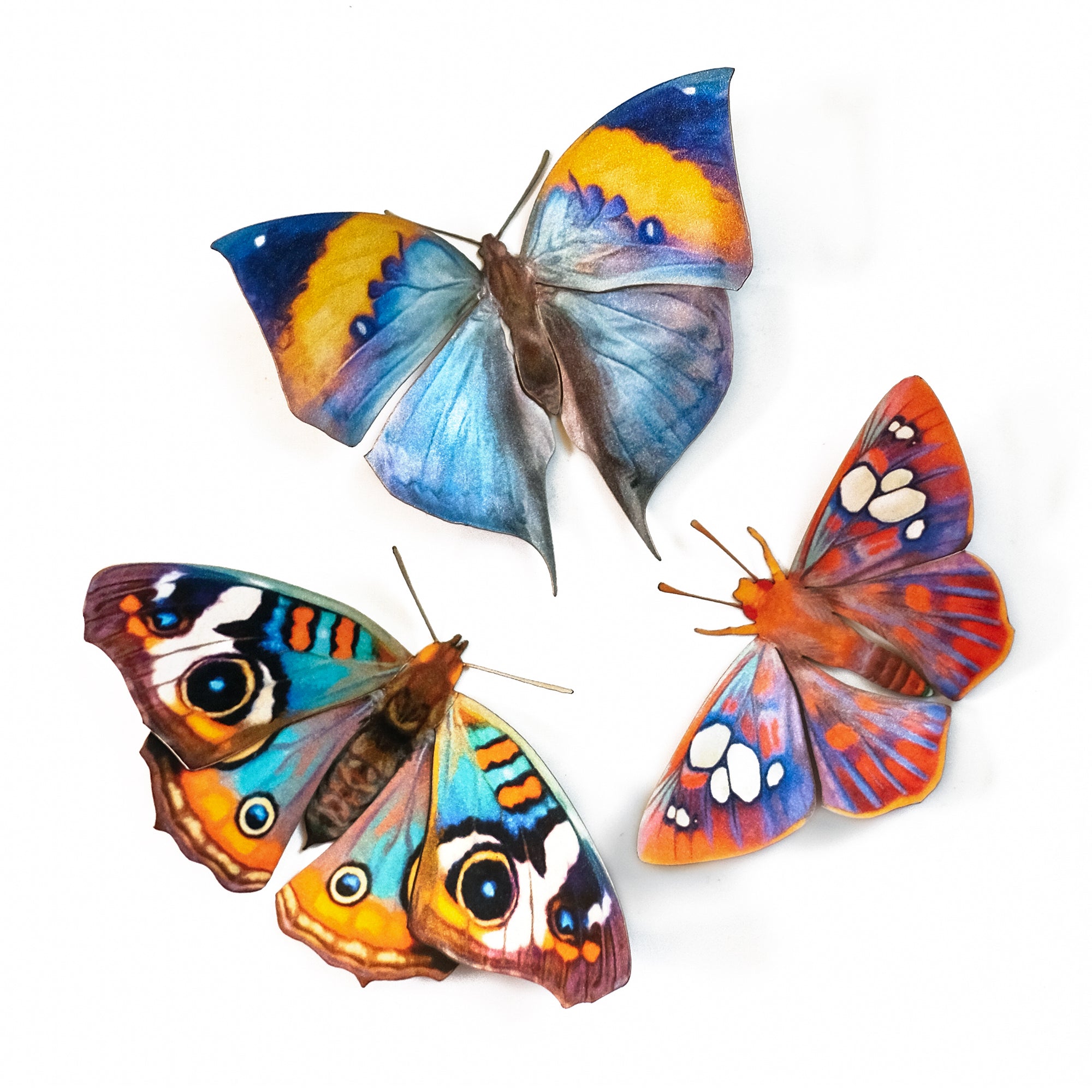 'Dawn' Butterfly Set Artist Wholesale