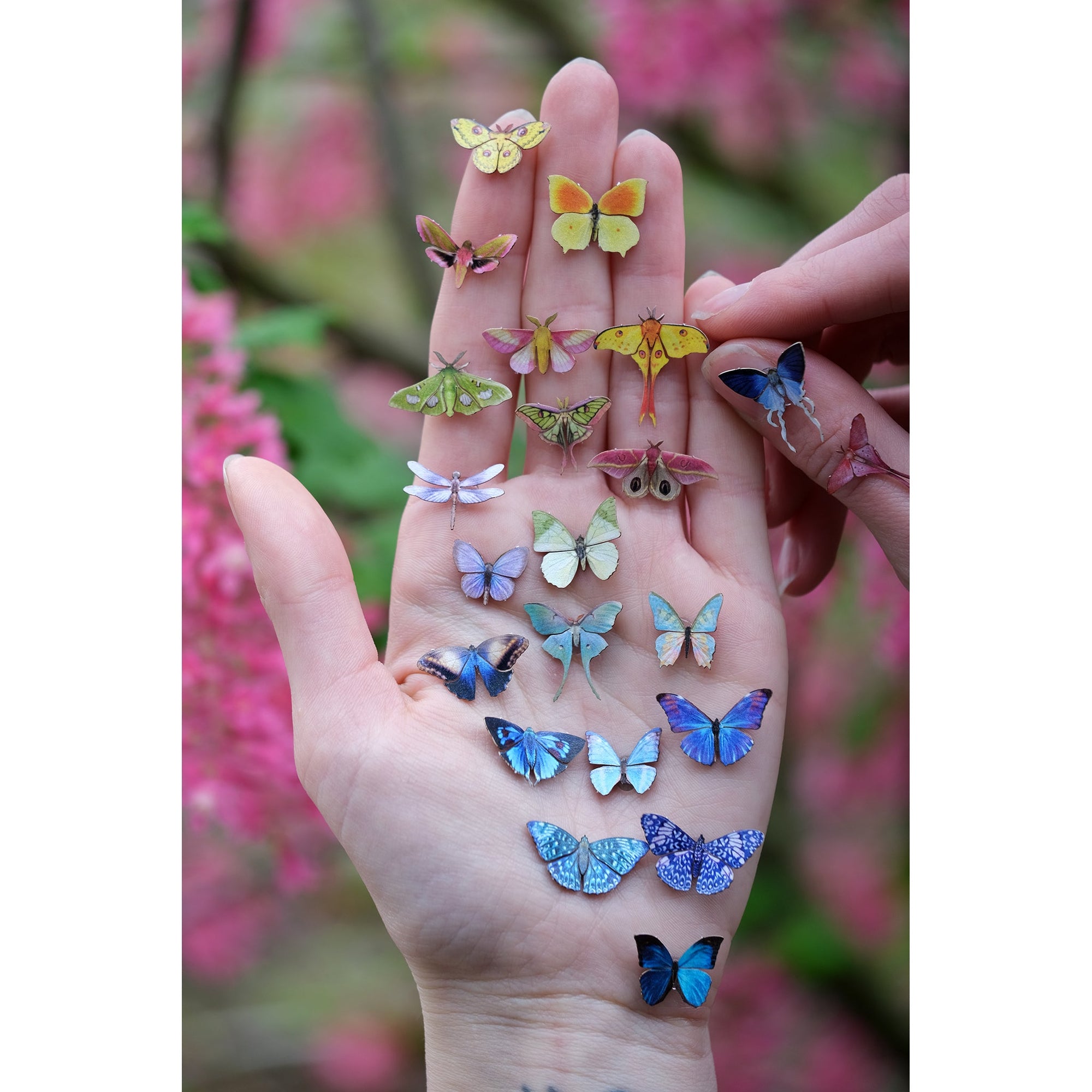 ’Galaxy' Micro Moth & Butterfly Collection - Artist Wholesale