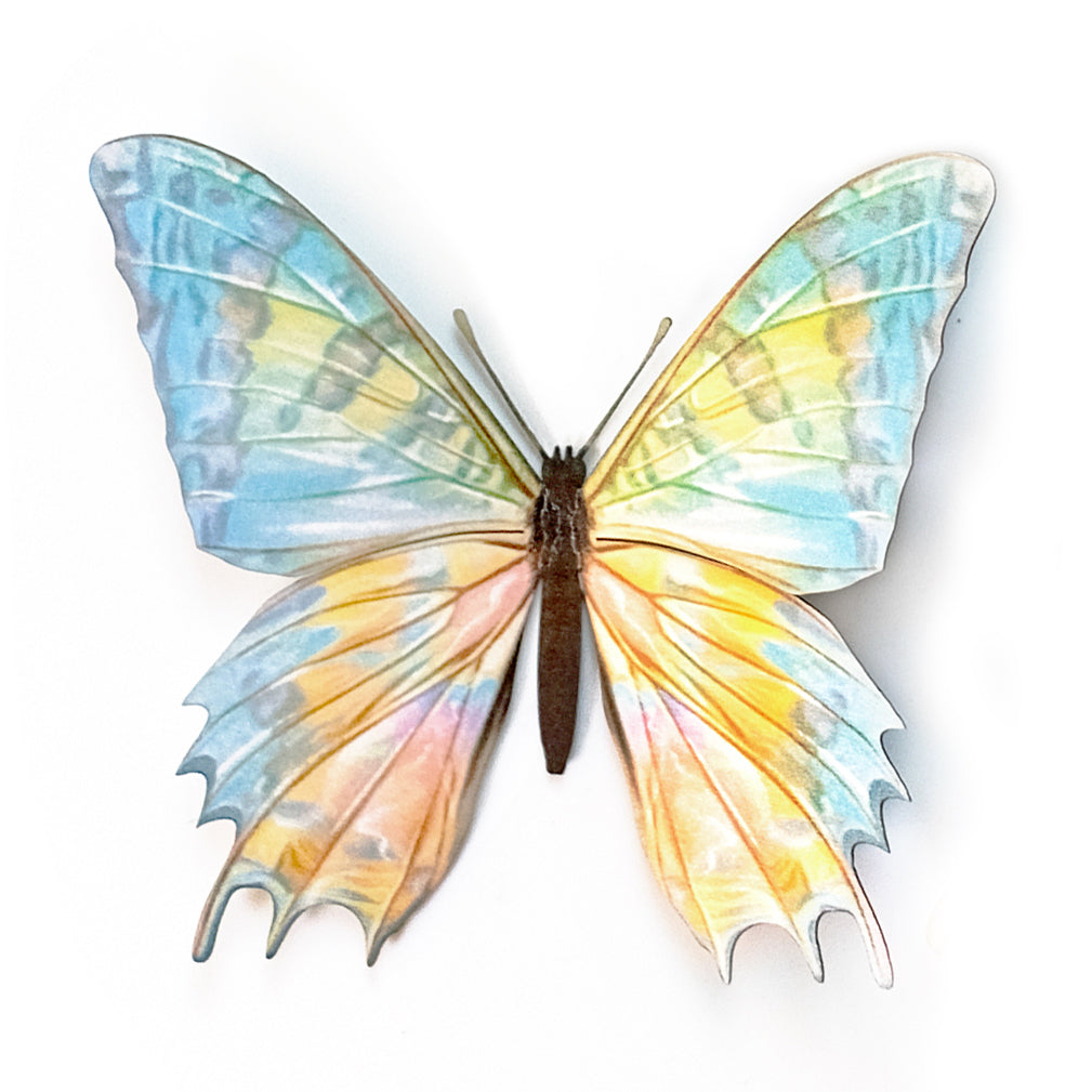 'De-Scaled Sunset' Moth