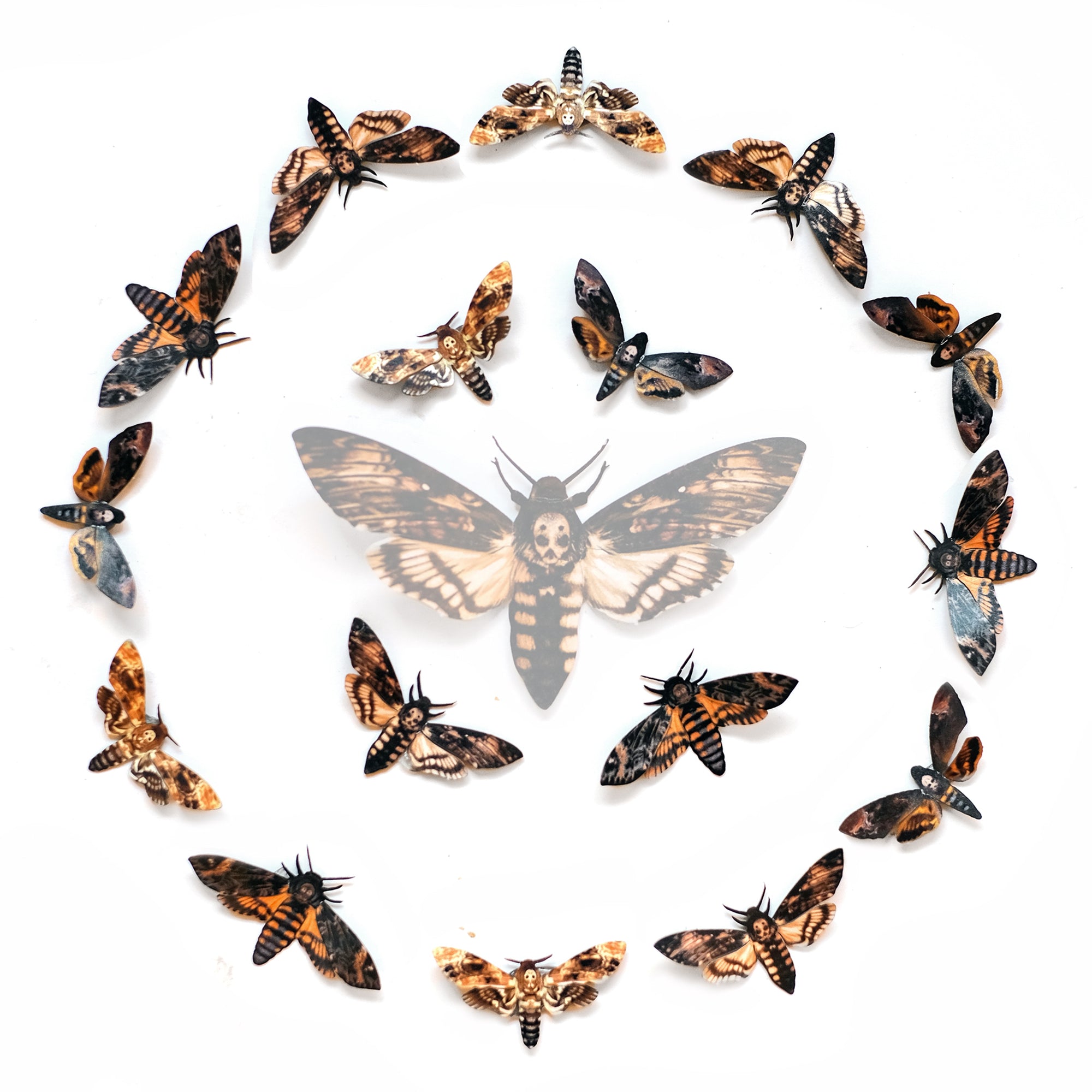 💫Spooky💫 Death's Head Moth Mini Collection - Artist Discount