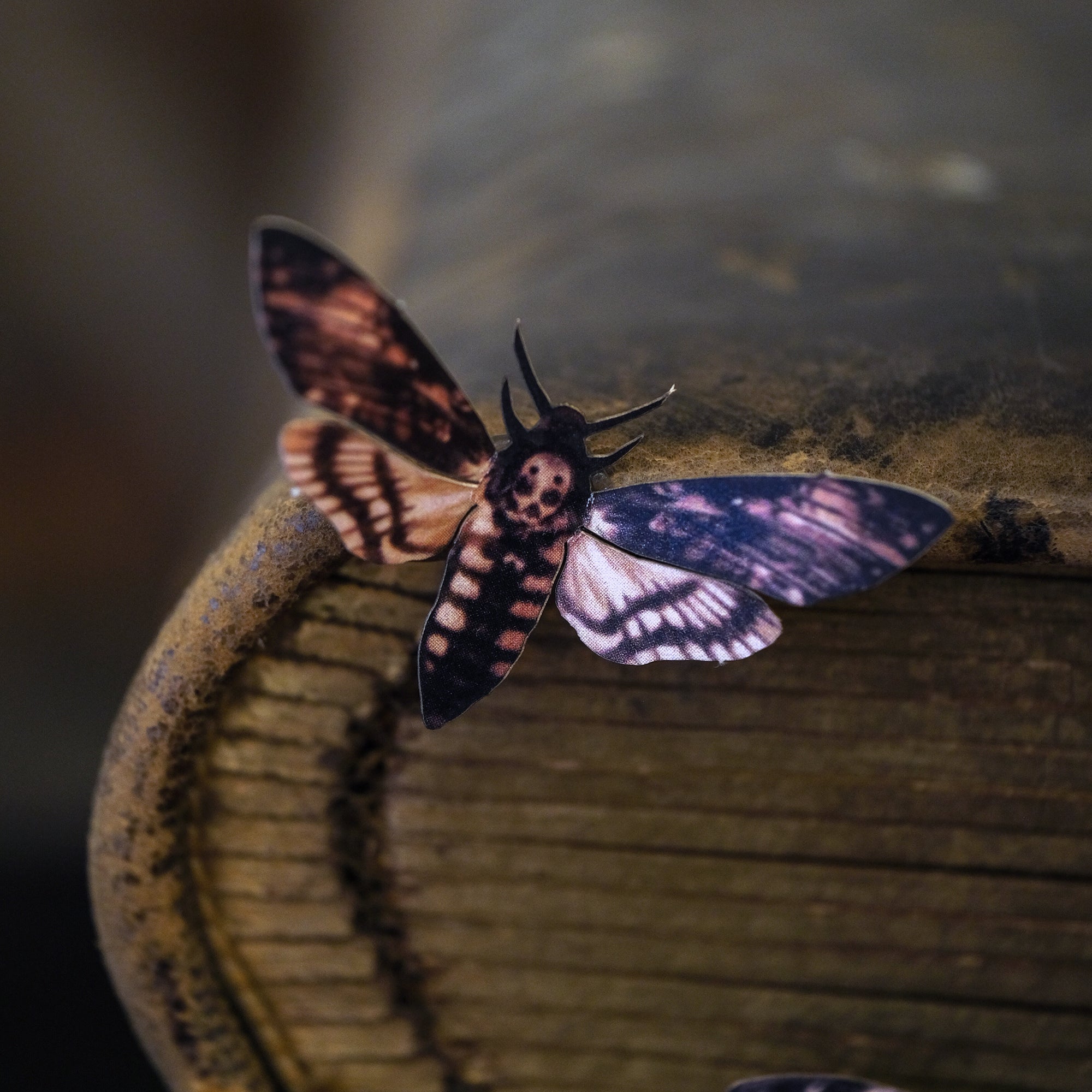 💫Halloween💫 Death's Head Moth Mini Collection Artist Wholesale