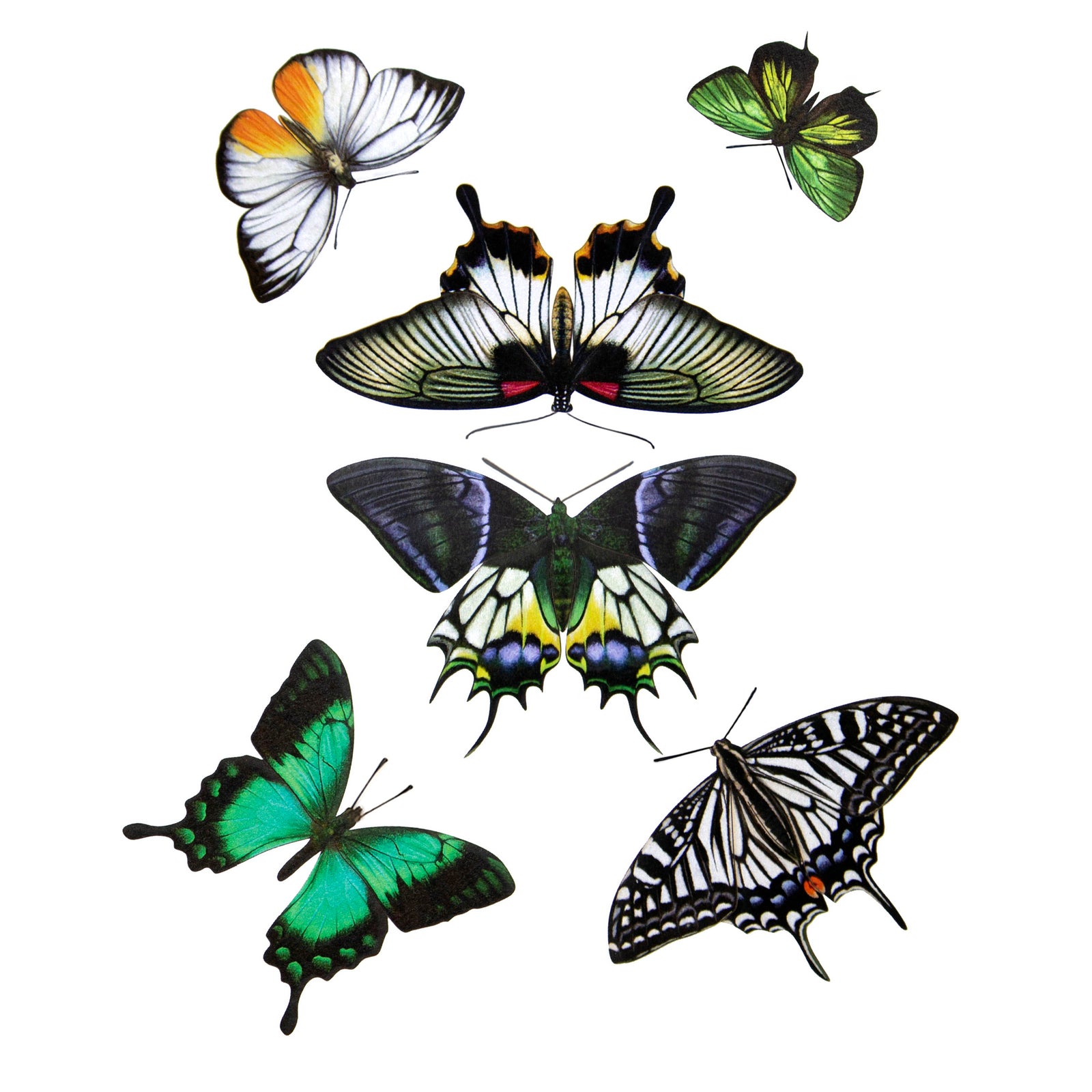 The 'Emerald' 6 Piece Butterfly Set