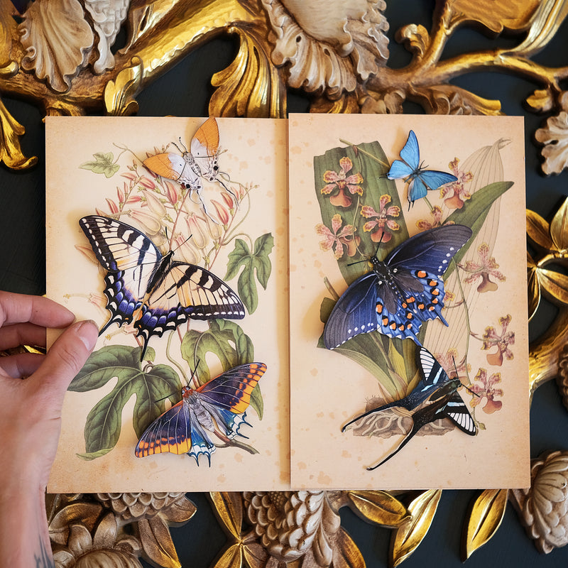 Paper Butterflies - 'The Faerie-Tails Collection II' - Moth & Myth