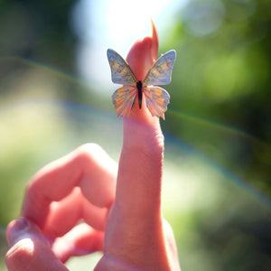 ’Summer' Mini Moth Collection