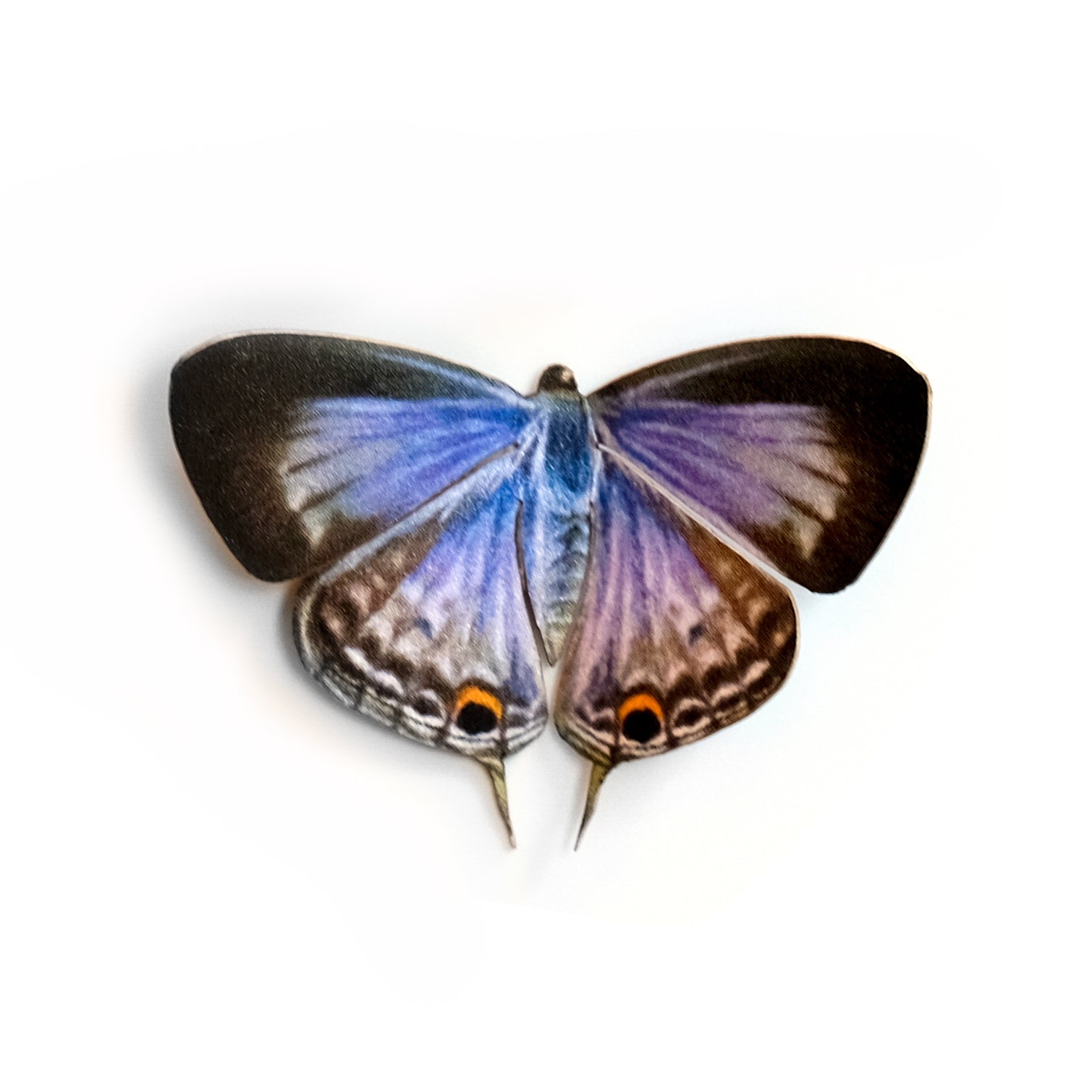 'Forget-me-not' Butterfly