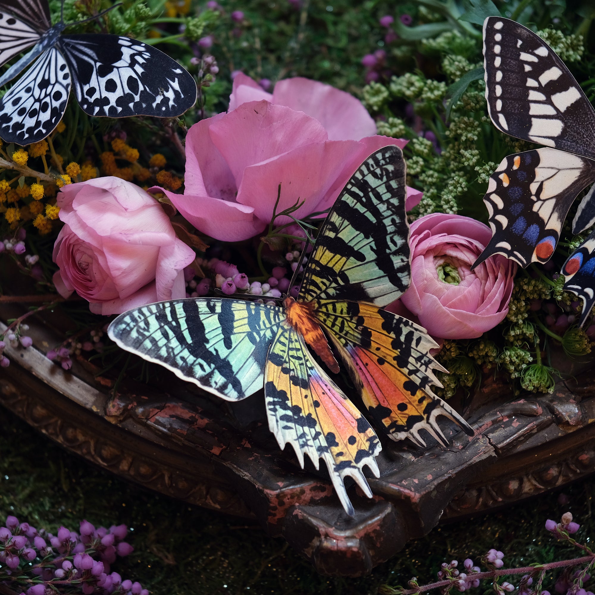 💫New💫 'In the Garden of Earthly Delights' Butterfly collection