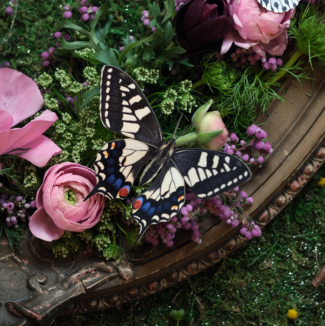 💫New💫 'In the Garden of Earthly Delights' Butterfly collection