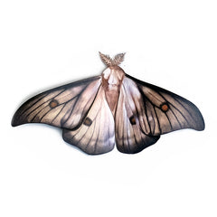 Paper Ghostly Silk Moth - Moth & Myth