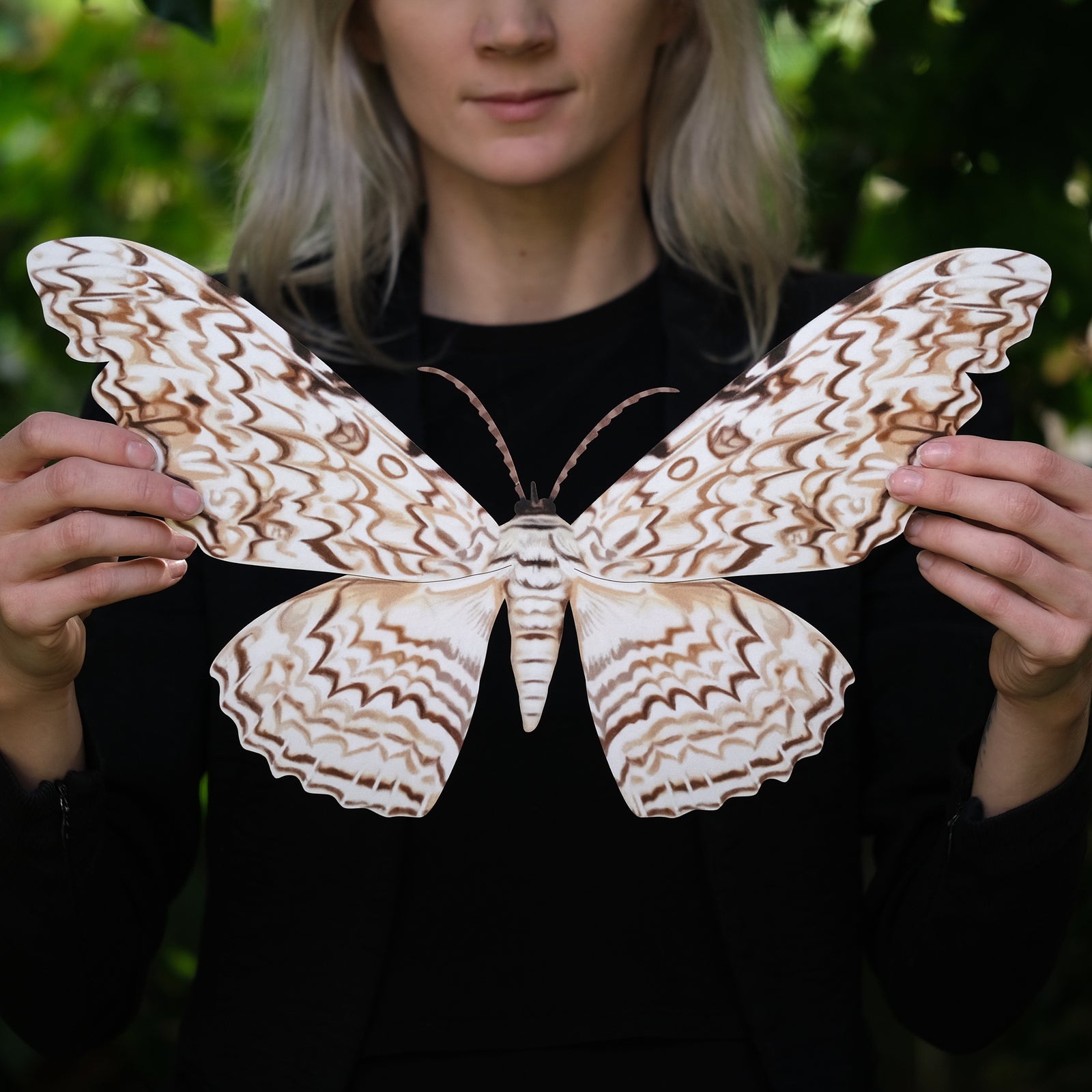 'Giant White Witch' Moth