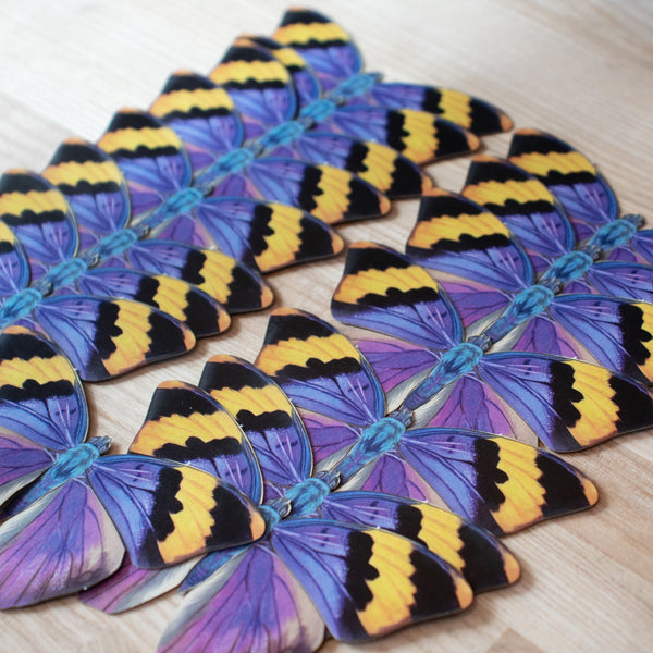 Paper Gold Banded Forester Butterfly Multi-Pack - Moth & Myth