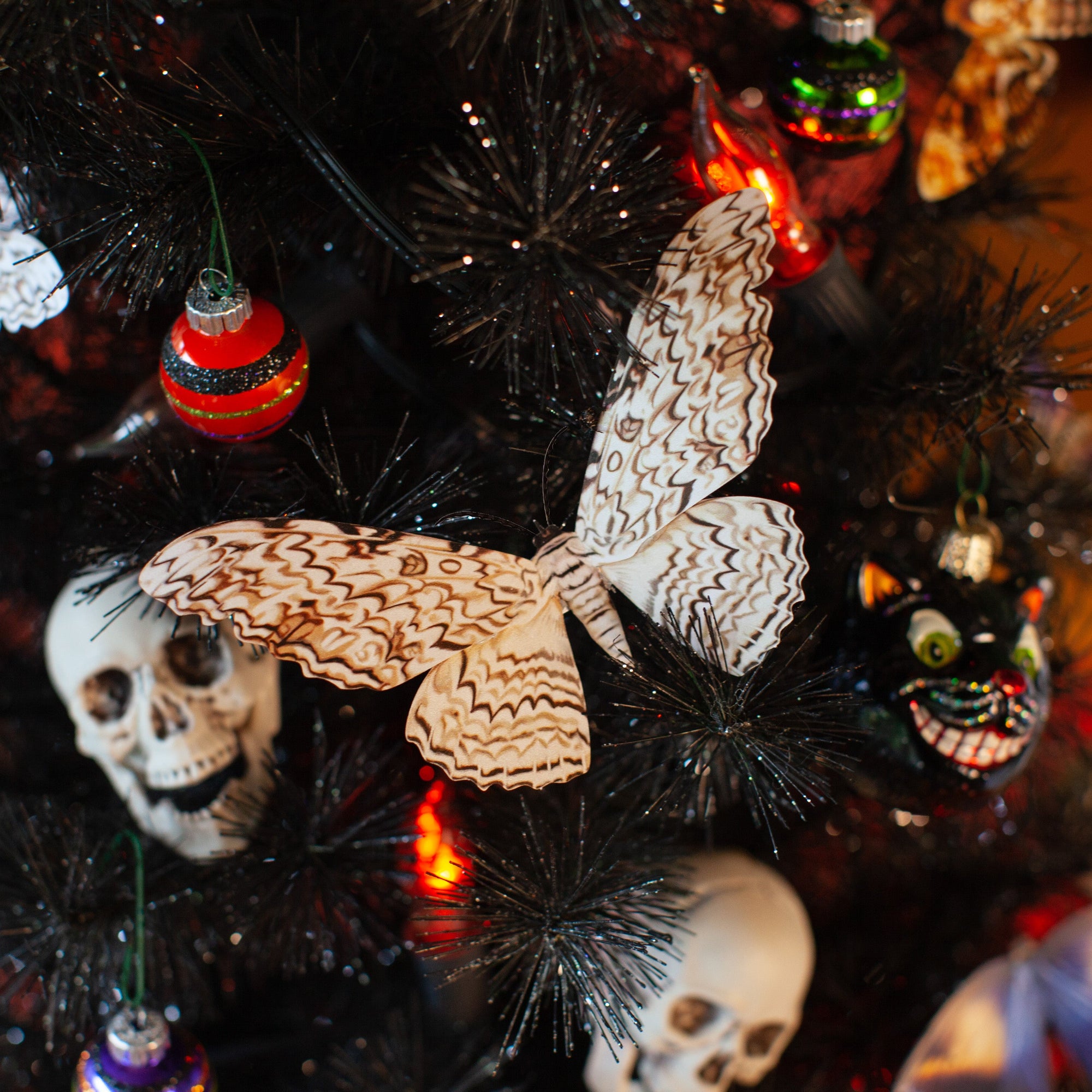 💫Halloween Collection💫 'Witch' Moth Set (Datura)