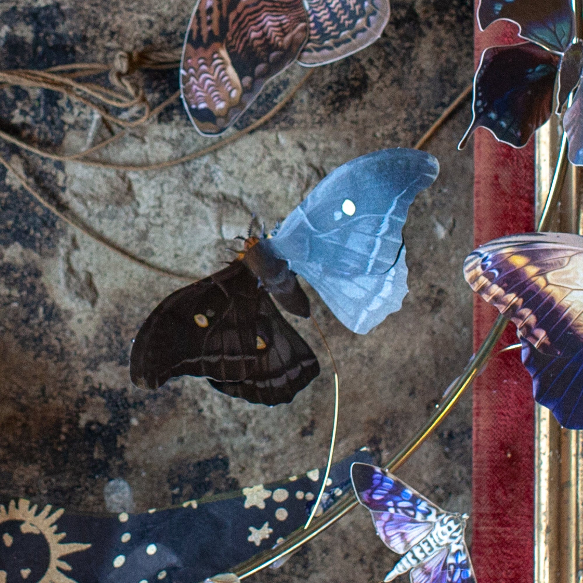 💫Halloween Collection💫 'Death's Head' Moth Set (Belladonna)