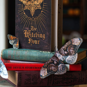 💫Halloween Collection💫 'Owl' Moth Set (Hellebore)