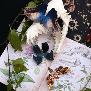 💫Halloween Collection💫 'Hatchet' Butterfly Set (Hemlock)