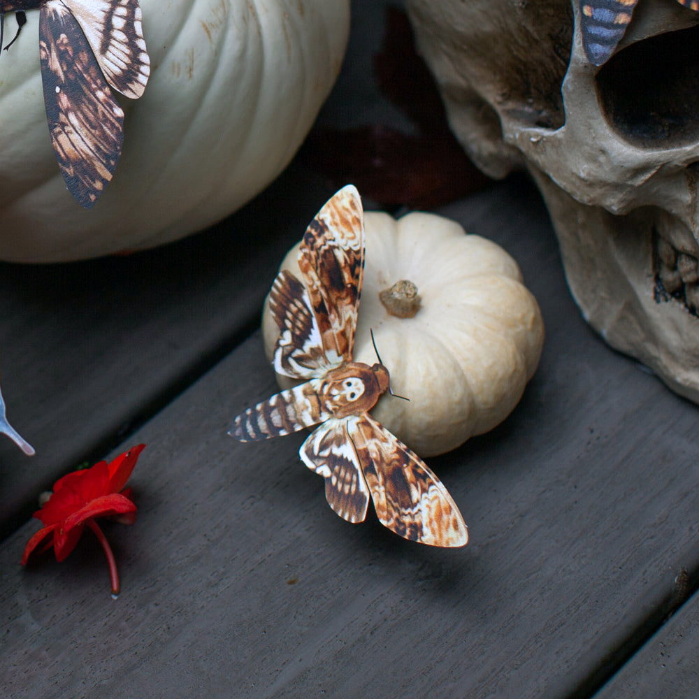Halloween 'Hatchet' Butterfly Set Reseller Wholesale