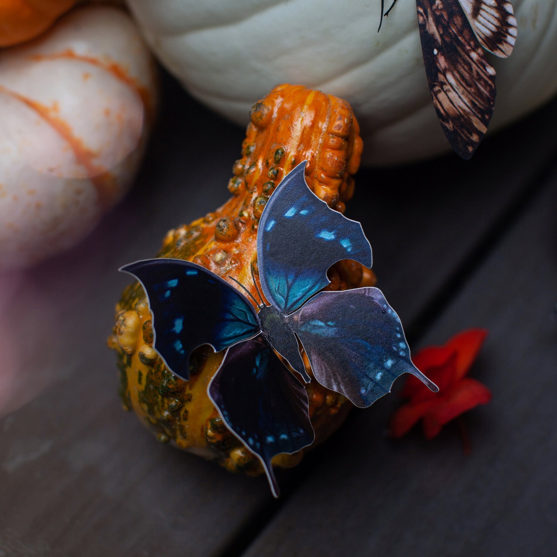 💫Halloween Collection💫 'Hatchet' Butterfly Set (Hemlock)