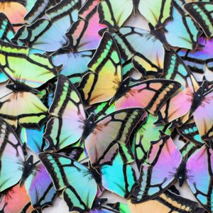 'Hibiscus' Mini Butterfly Holographic Sticker Set Artist Wholesale