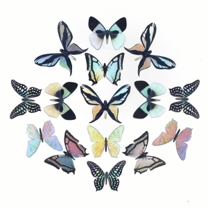 💫Back in Stock💫'Hibiscus' Mini Butterfly Holographic Sticker Set
