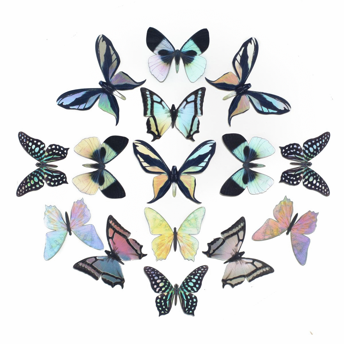 'Hibiscus' Mini Butterfly Holographic Sticker Set Artist Wholesale