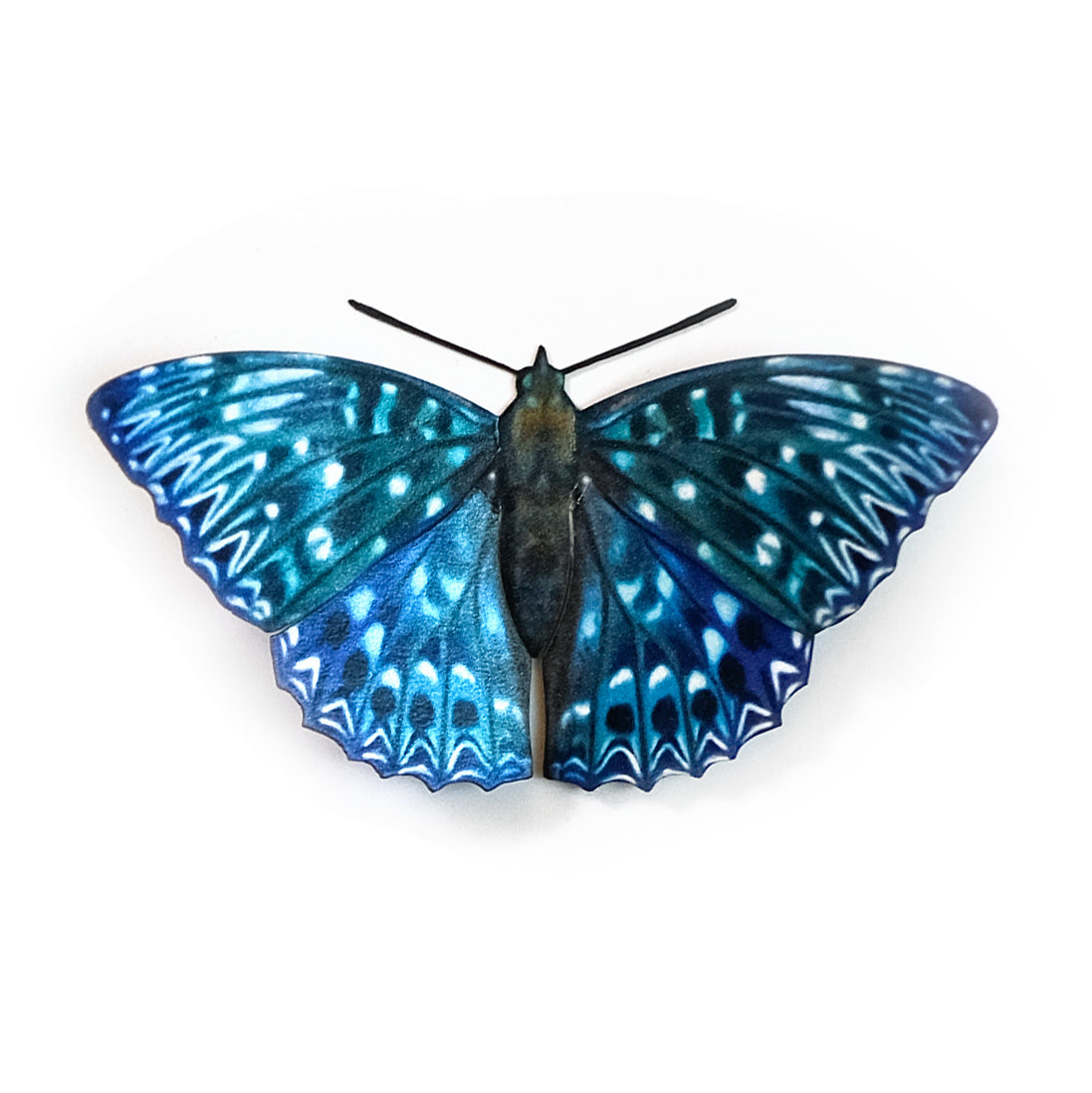 Custom Collections Page 2 Moth & Myth