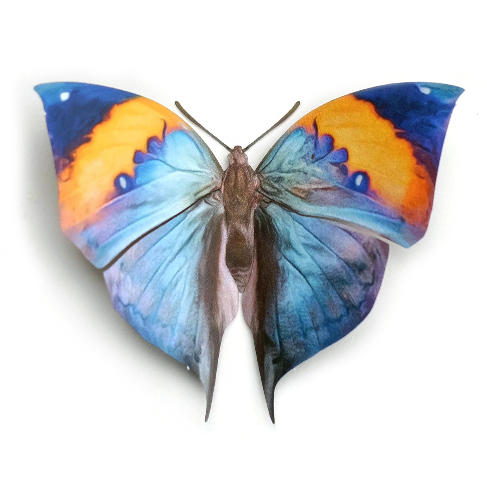 'Indian Oakleaf' Butterfly