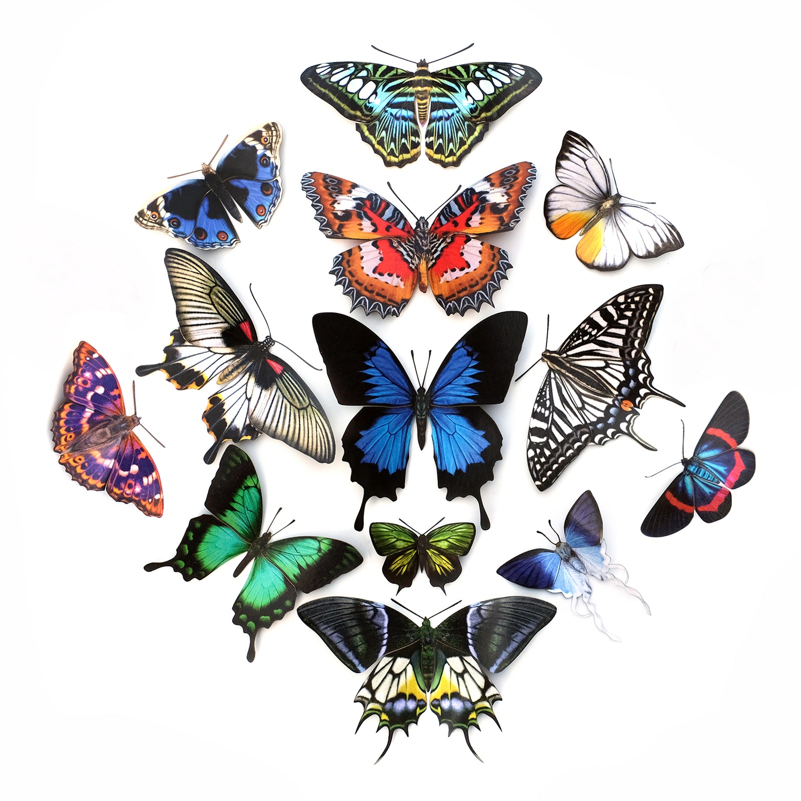 The Butterfly Collection 2 "Jewels of the East"