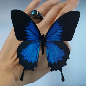 'IOLITE' Butterfly Set Artist Wholesale