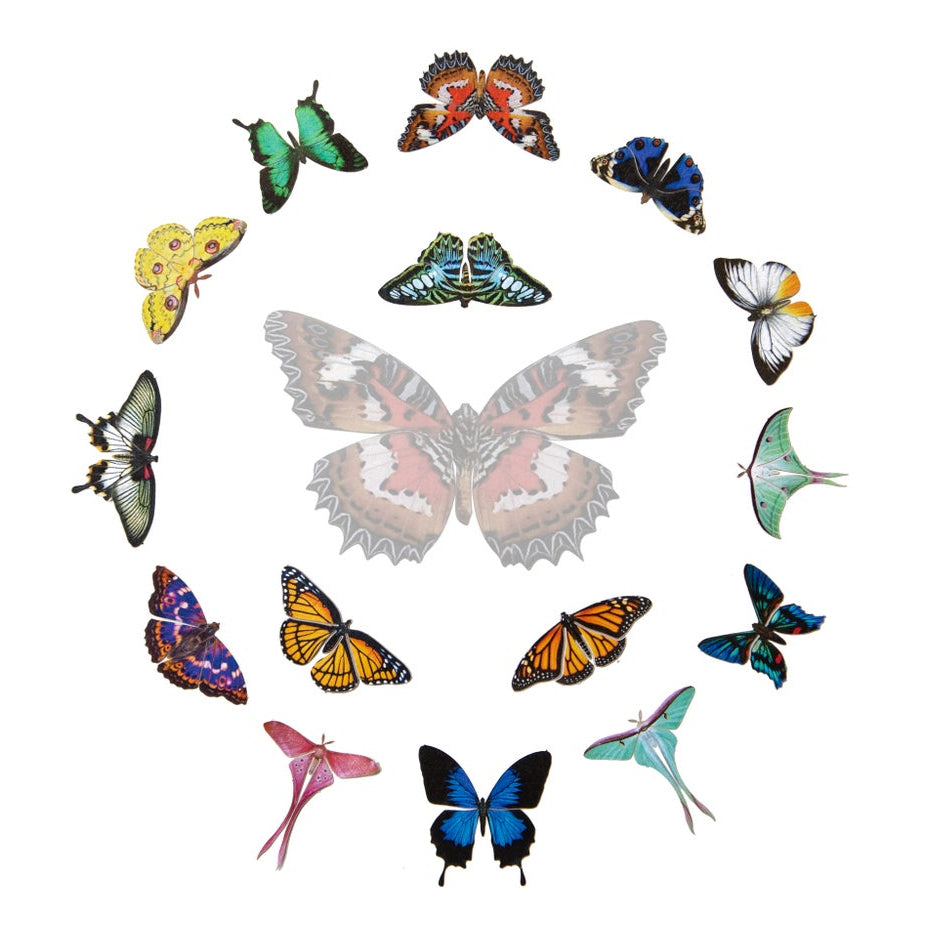 ⚡️New!⚡️ 'Jewels of the East' Mini Collection