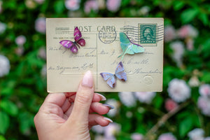 'Mini Purple' Butterfly