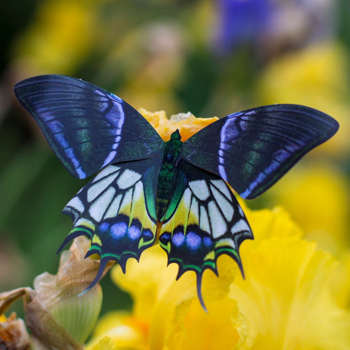 'Malachite' Butterfly Set Artist Wholesale