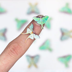 'Snowmoon' Micro Luna Moth Collection Artist Wholesale