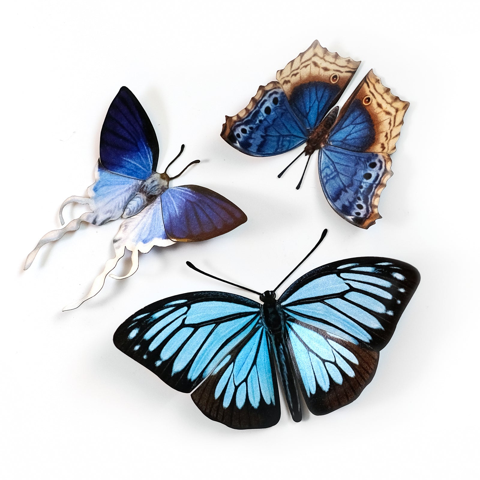 'Lupine' Butterfly Set - Artist Discount