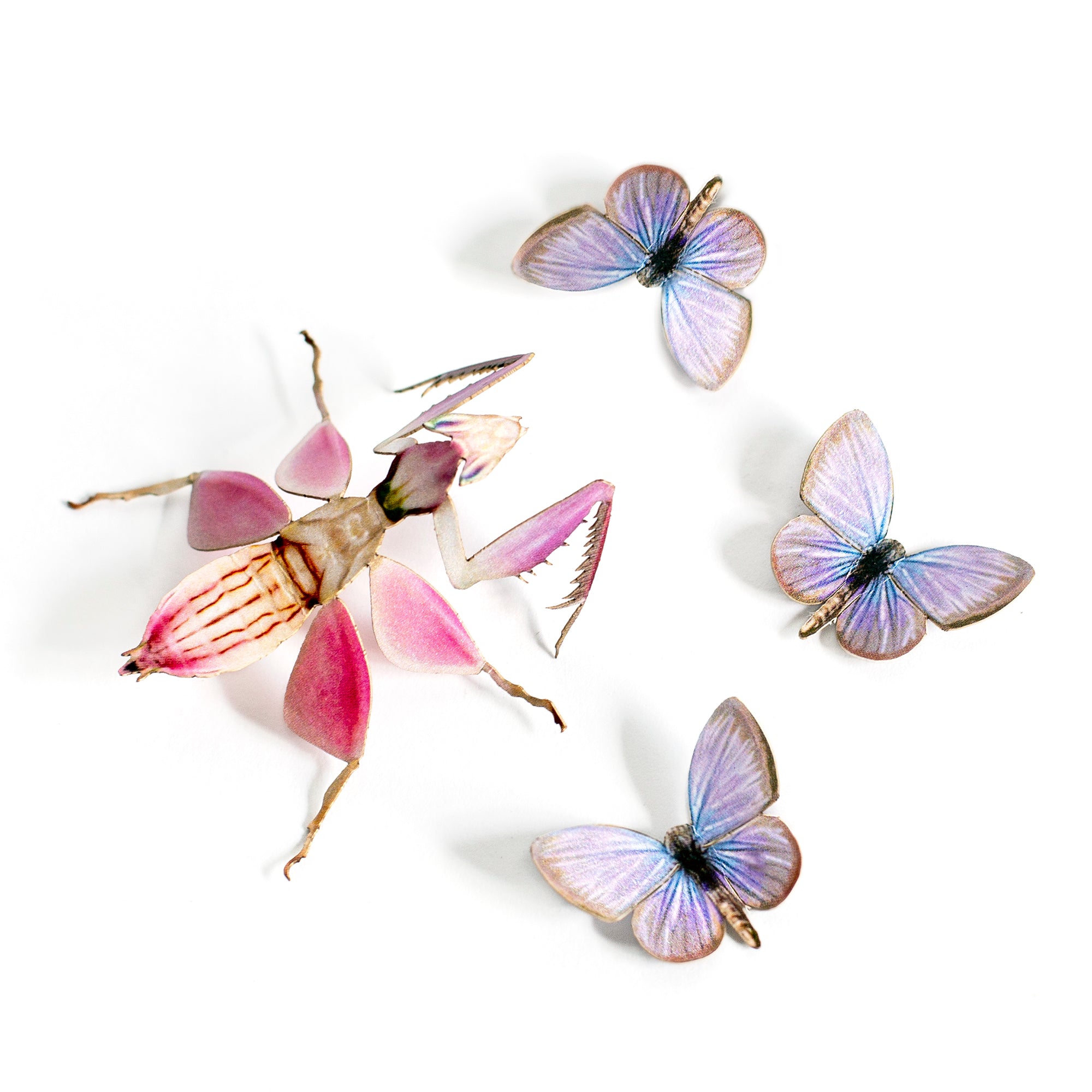 'Orchid' Mantis Set Artist Wholesale