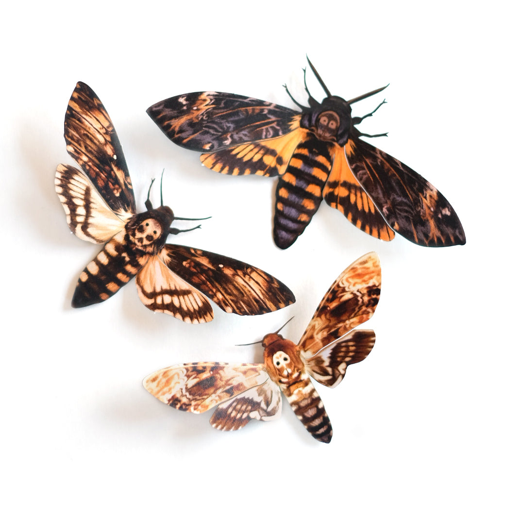 'Memento Mori' Moth Set