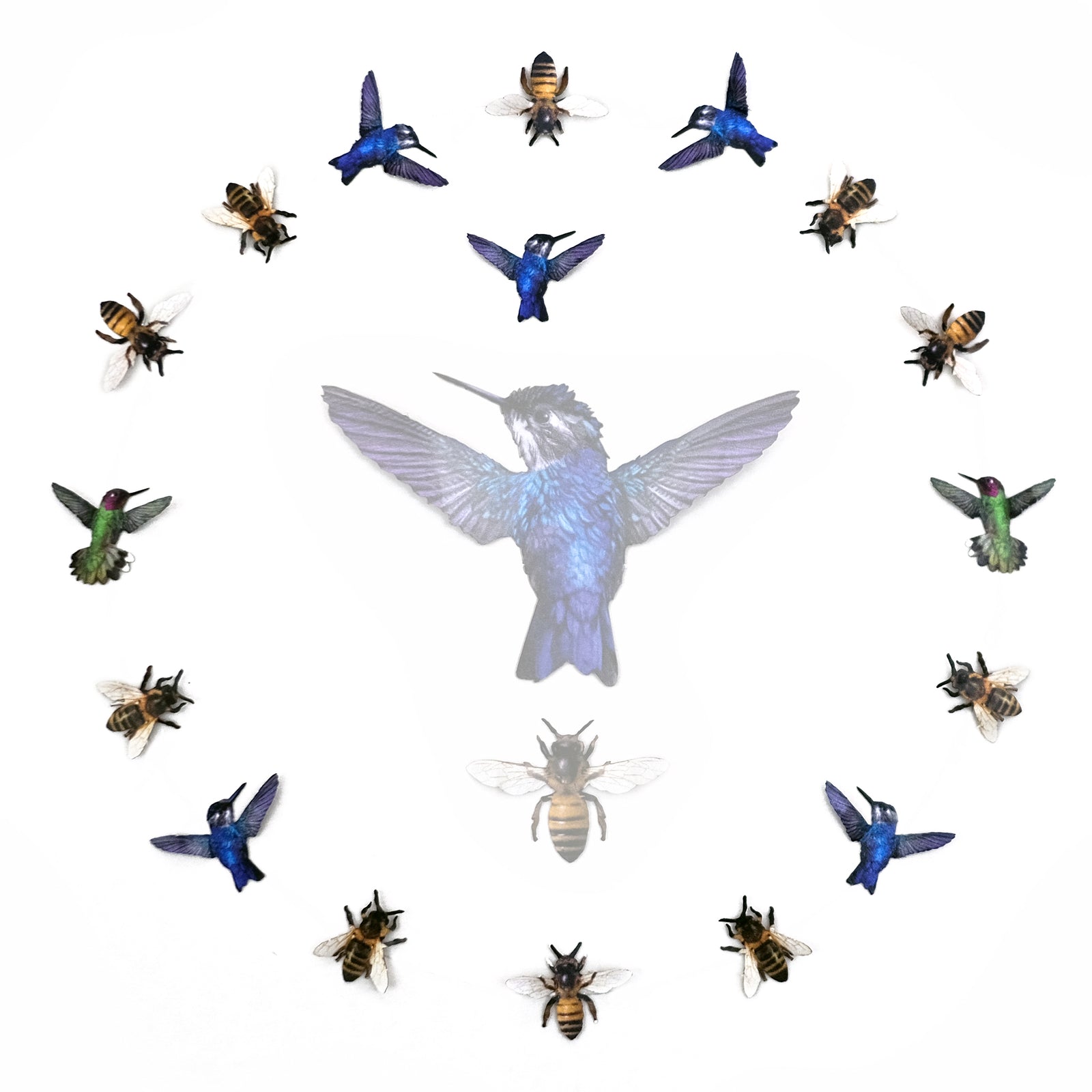 Micro Birds and Bees Set