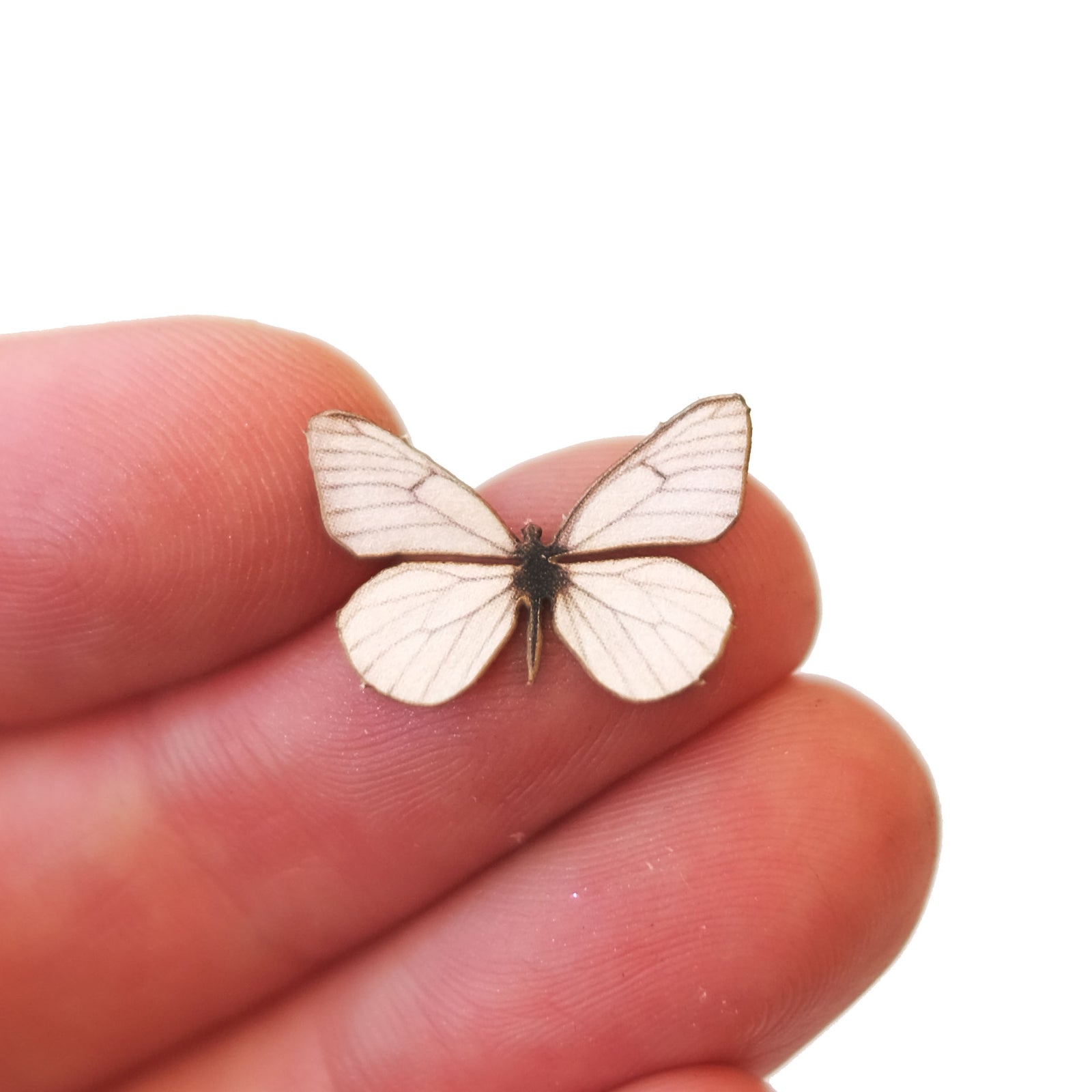 'Micro Black-Veined White' Butterfly