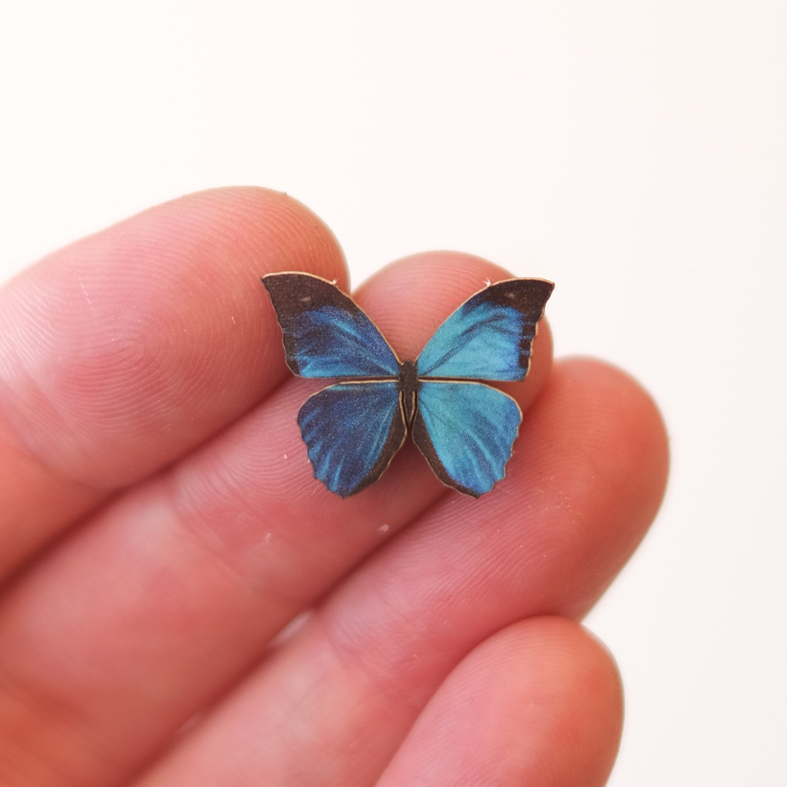 'Micro Blue Morpho' Butterfly