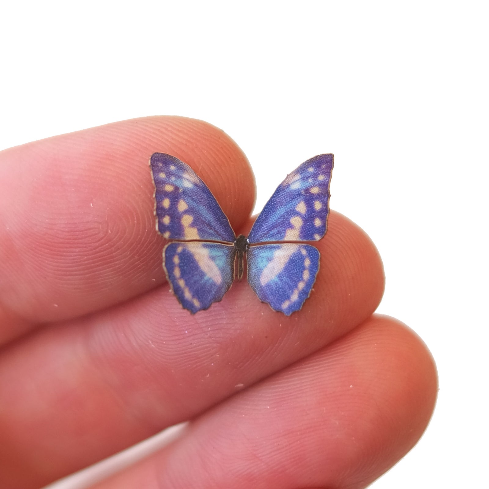 'Micro White & Blue Morpho' Butterfly