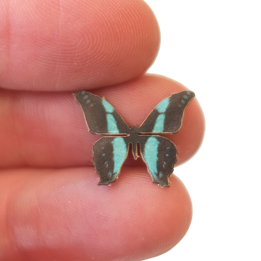 'Micro Common Blue Bottle' Butterfly