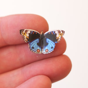 'Micro Celestial Blue Pansy' Butterfly