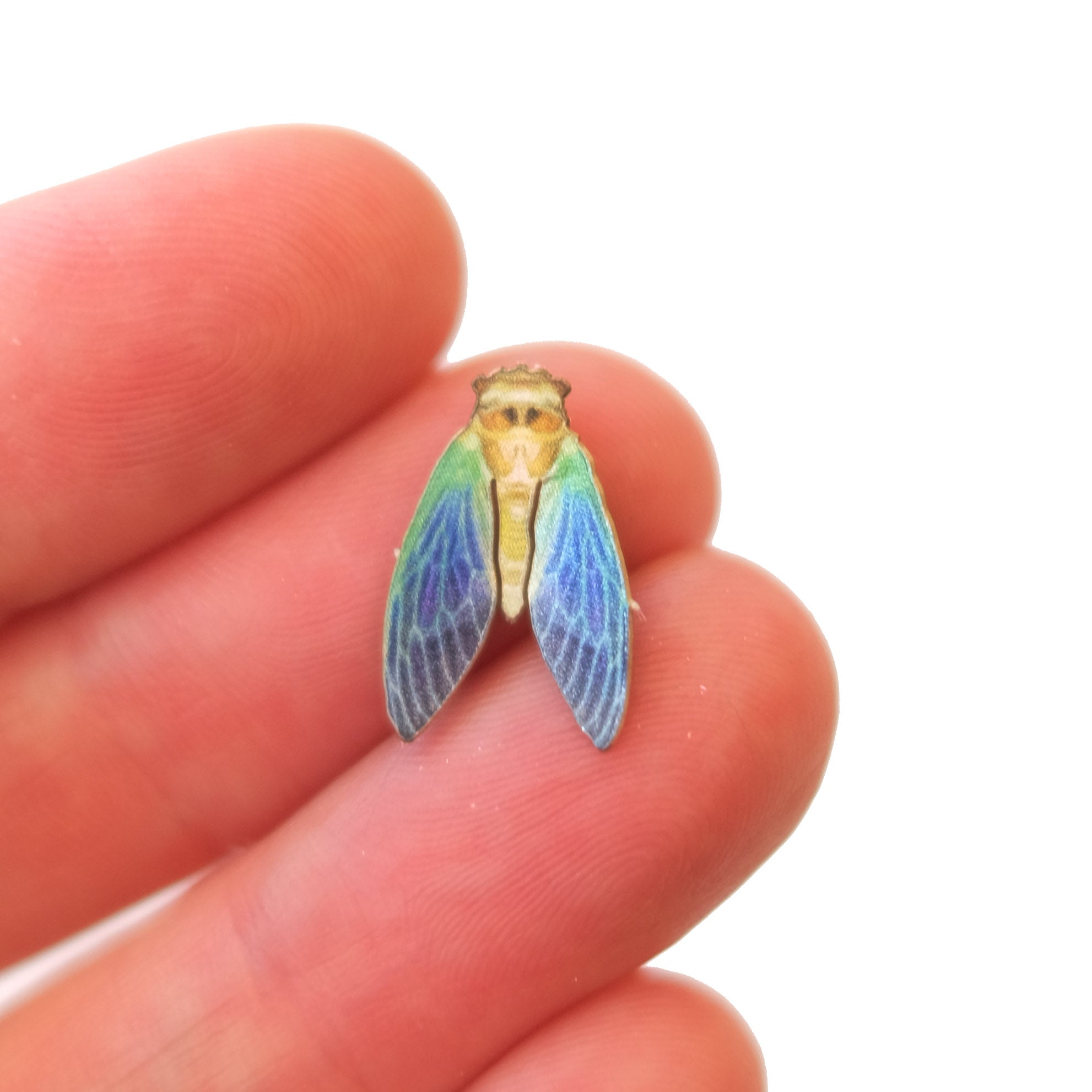 'Micro Wings Down' Cicada