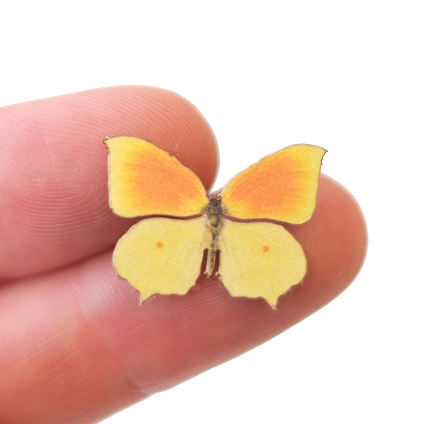 'Micro Cleopatra' Butterfly