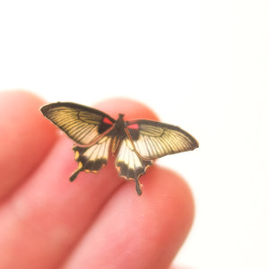 'Micro Great Mormon' Butterfly